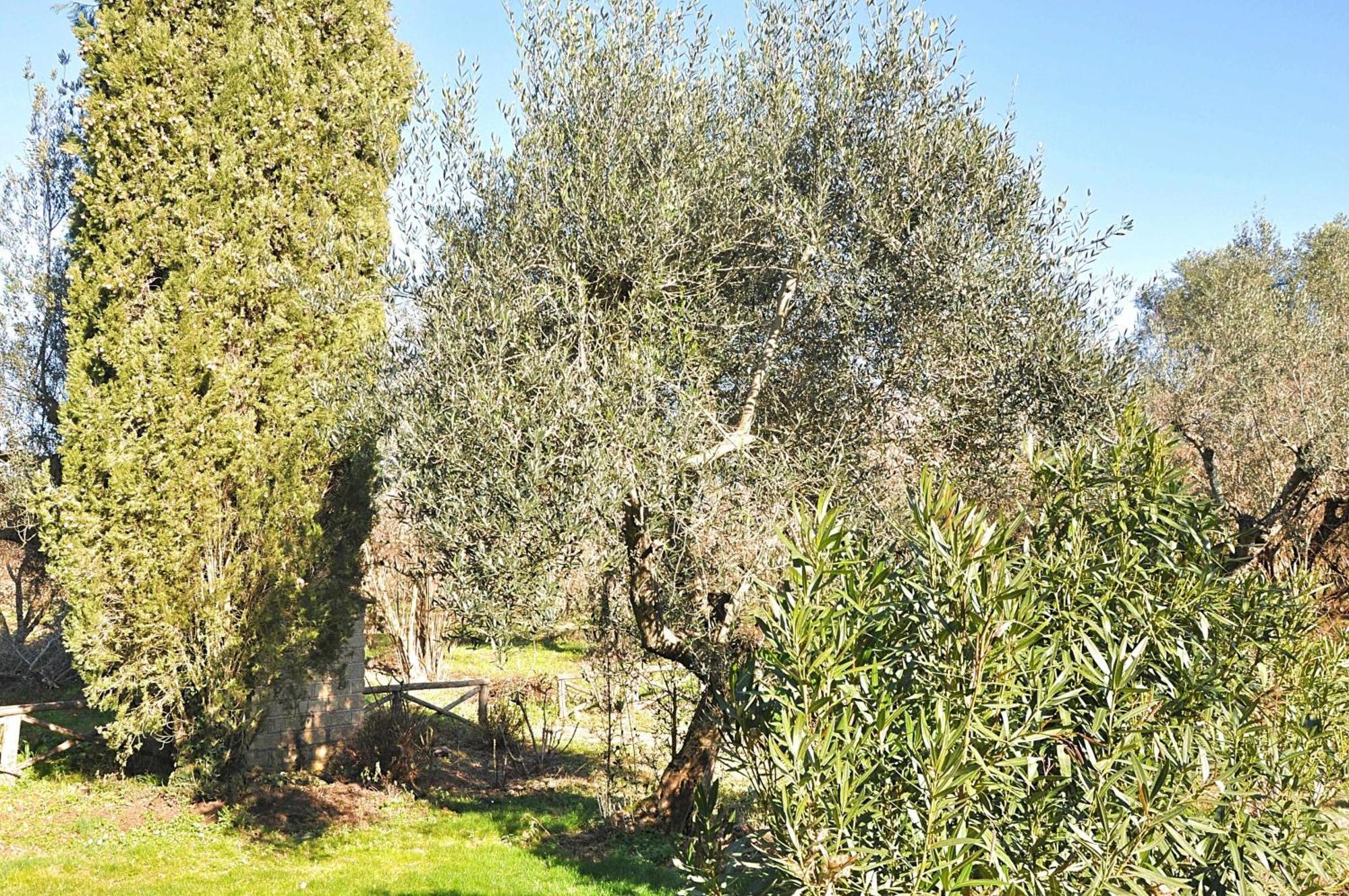 Vila Montecasciano Primula Capranica Exteriér fotografie