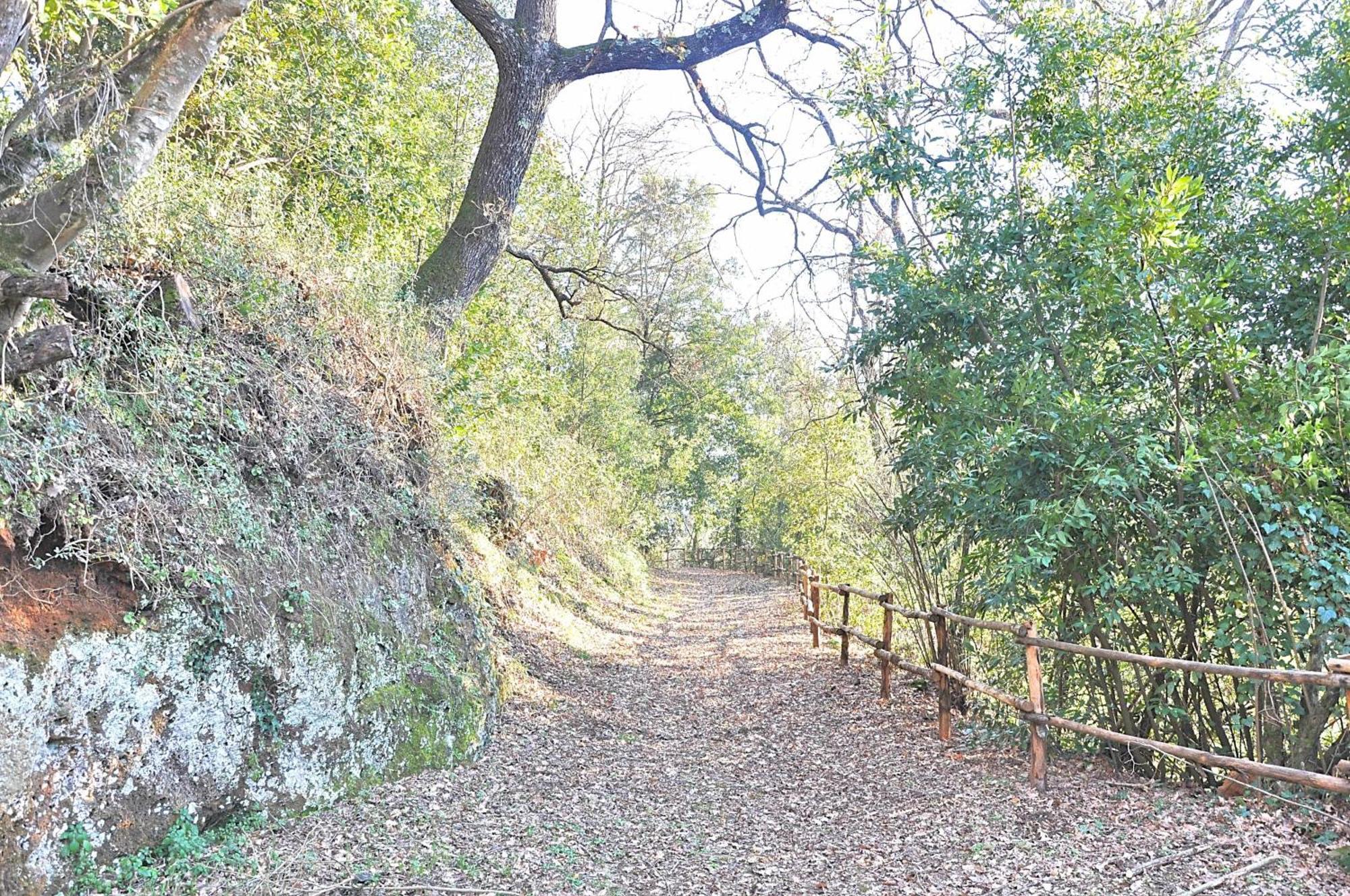 Vila Montecasciano Primula Capranica Exteriér fotografie